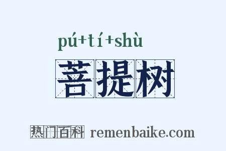 菩提树是什么意思的图片